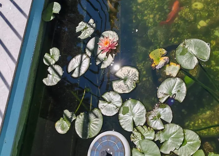 بيت ضيافة Blue Lagoon إيفوري نورد